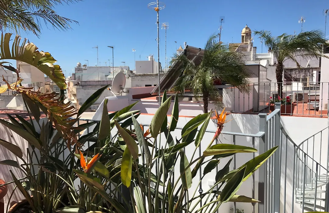 Apartamentos Rosario 1-1